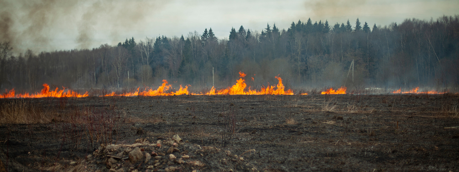 How BPCE Group And NZBA Will Achieve The Carbon Neutrality Pathway 